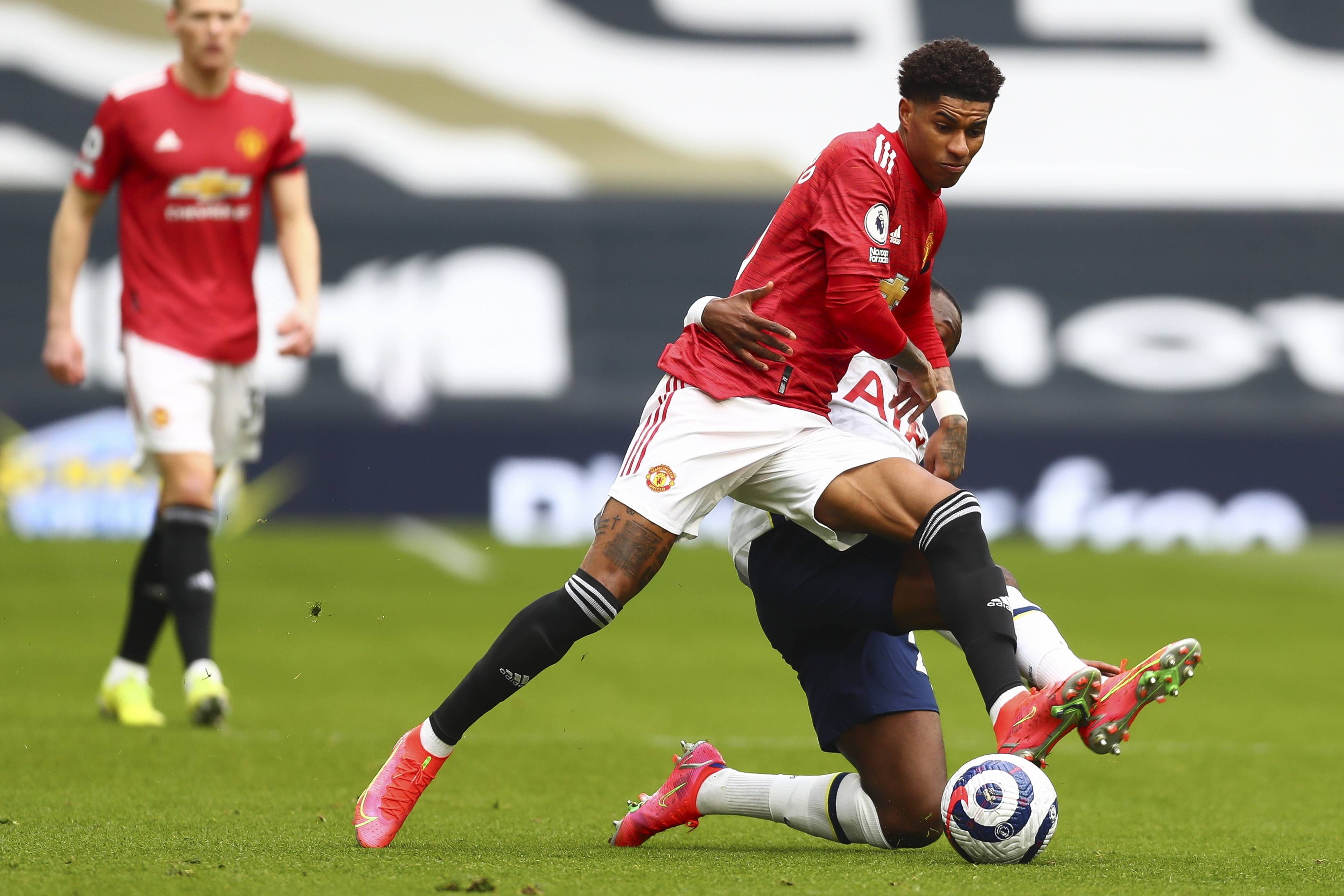 在众多选择 在众多选择